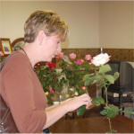 Gail Smith Grooming Roses